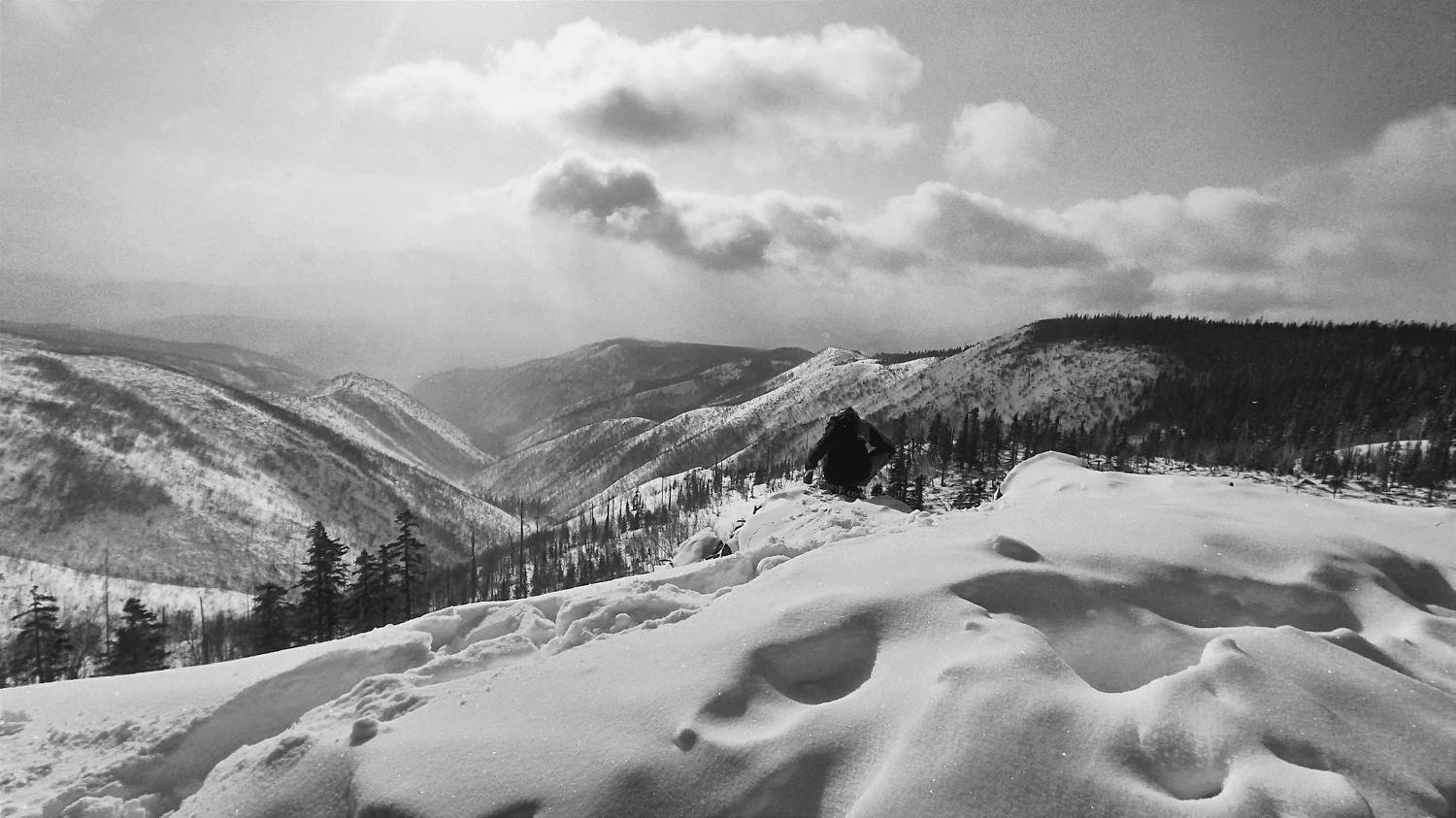Photo #9637150