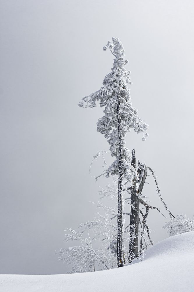 Photograph by Елена Павлова