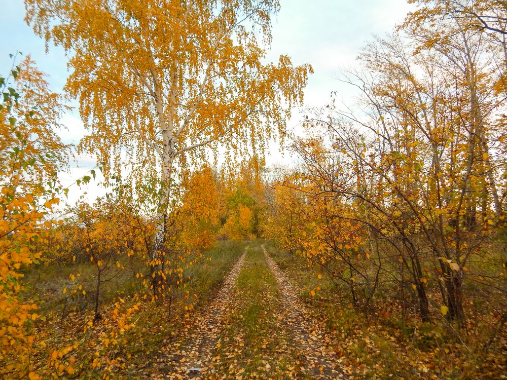 Photograph by Ирина Алпацкая