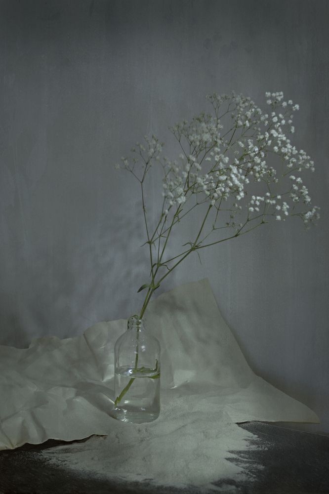 Photograph by Алиса Константиновна