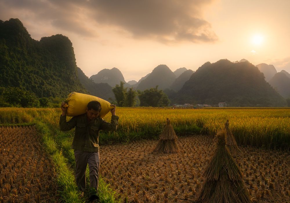 Photograph by MT-nguyen