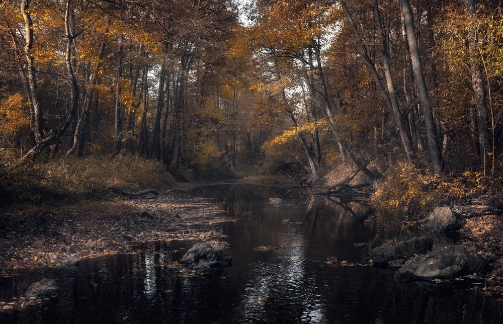 Photograph by Баранов Олег