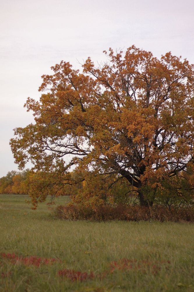 Photograph by Ольга