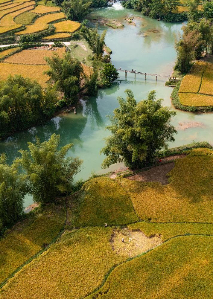 Photograph by MT-nguyen