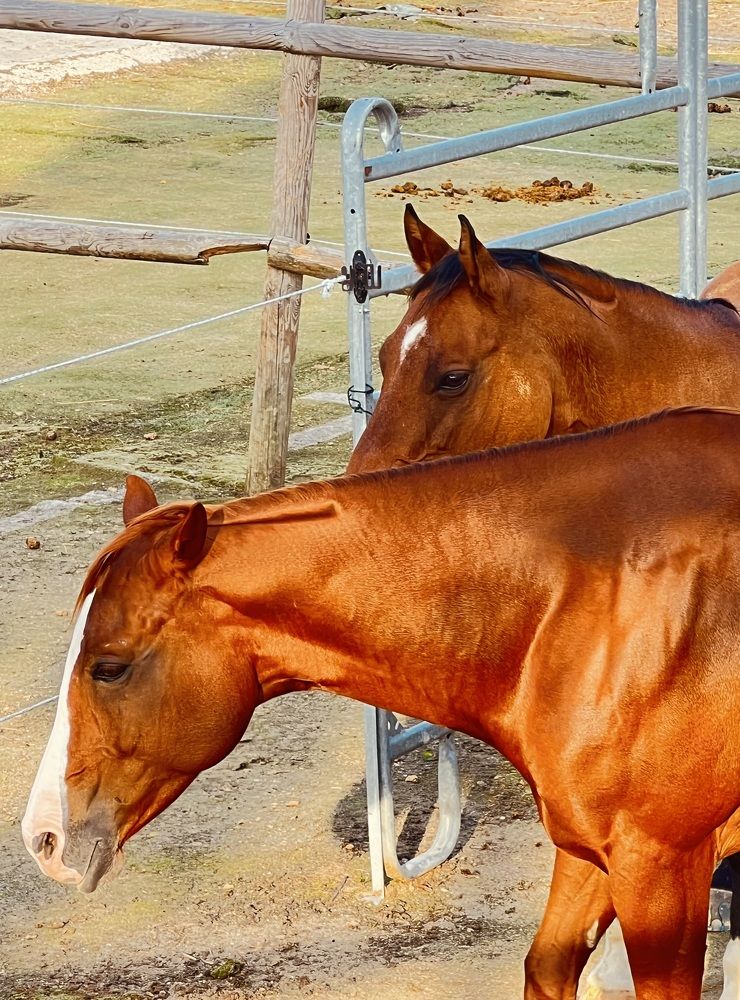 Photograph by Eugenia Schmidt