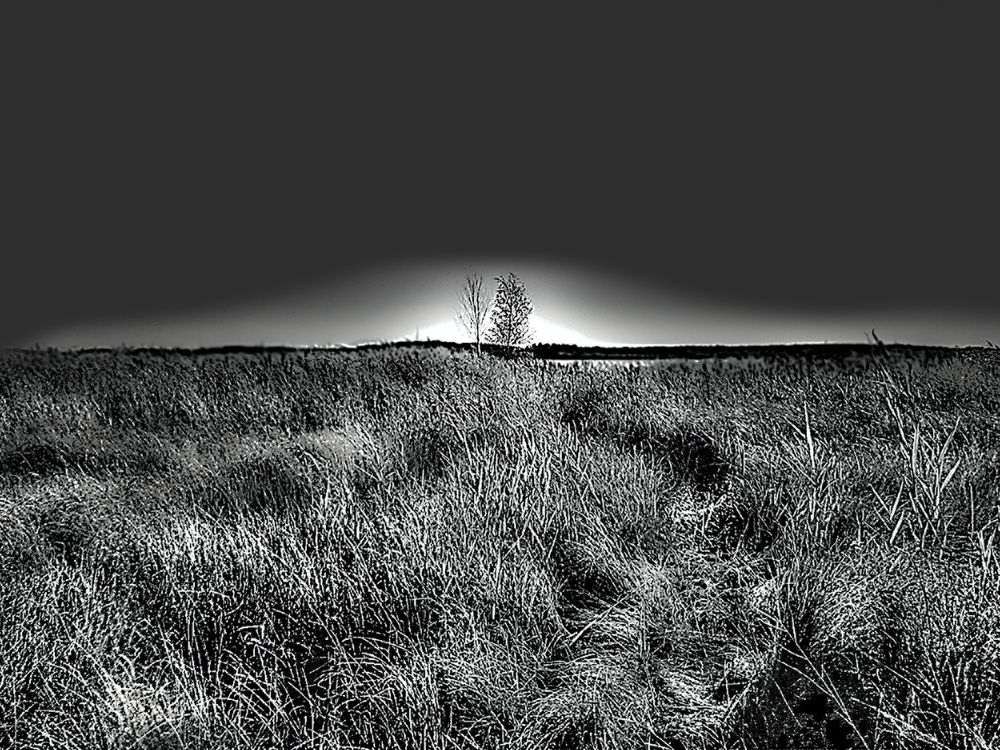 Photograph by Ирина Александрович