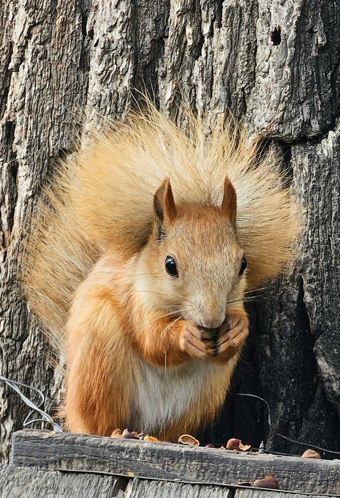 Photograph by Людмила Локтионова