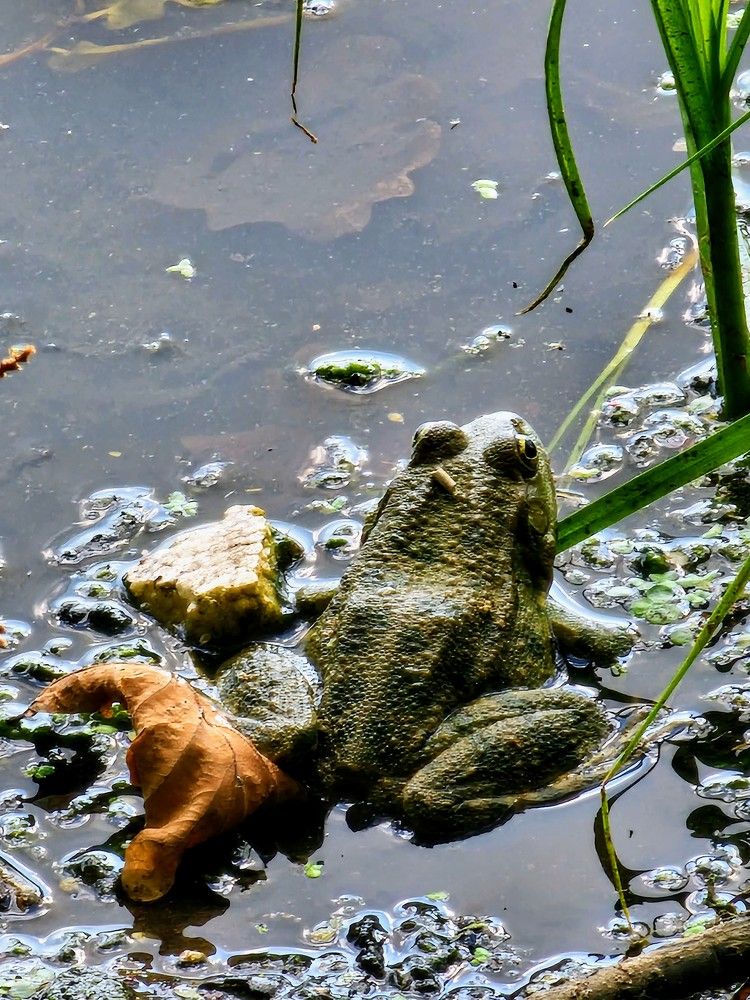 Photograph by Людмила Локтионова