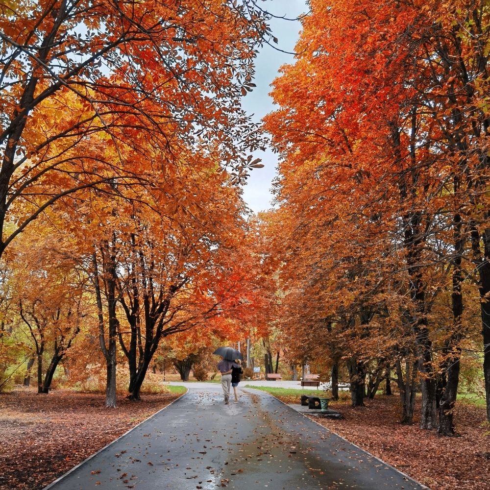 Photograph by Дмитрий Чуркин