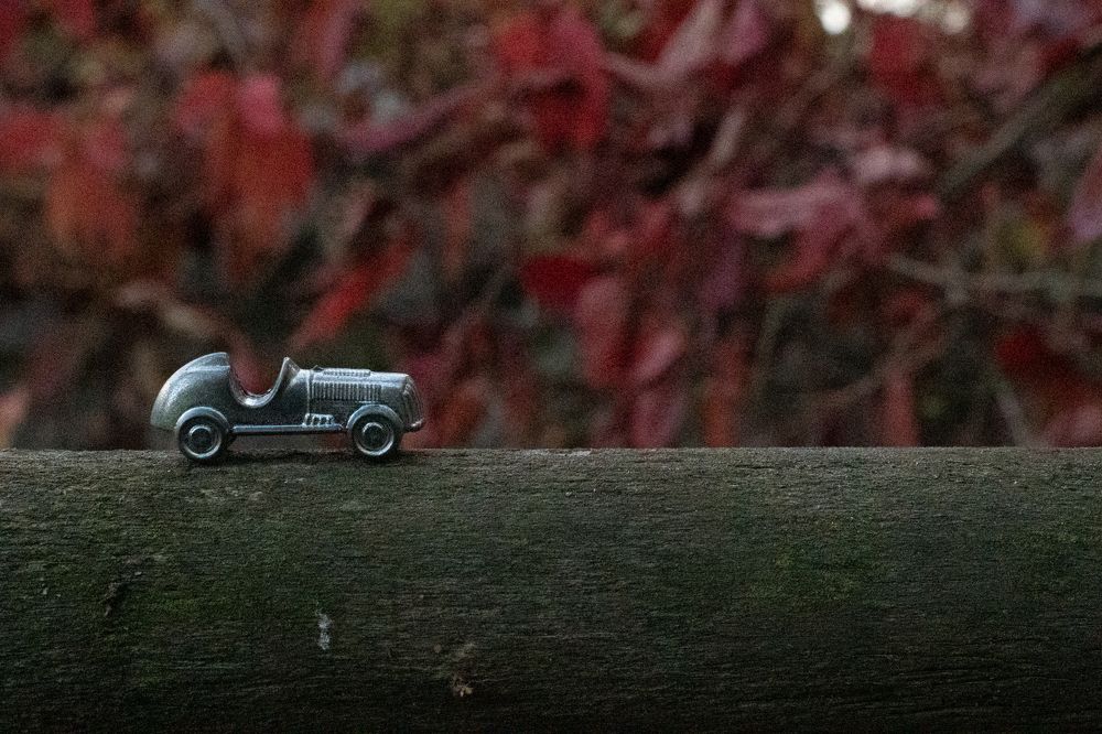 Фотография автора АНАСТАСИЯ ЛЕВИНА