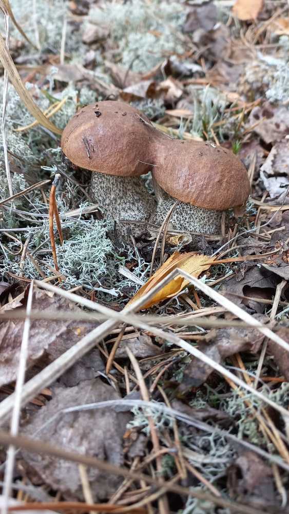 Photograph by Зимфира Хазиева