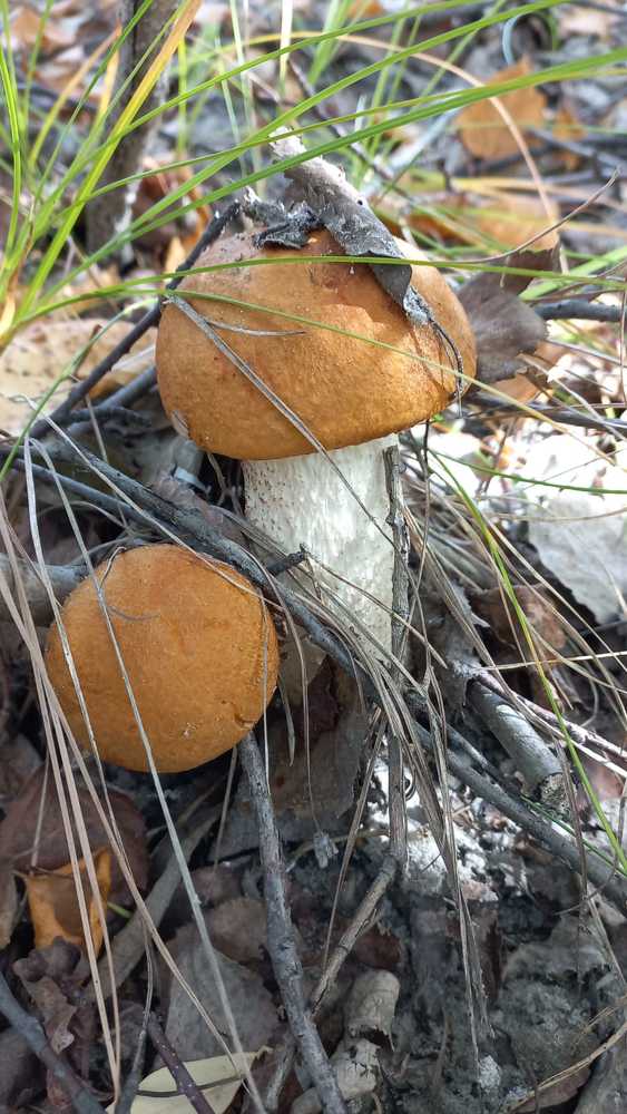 Photograph by Зимфира Хазиева