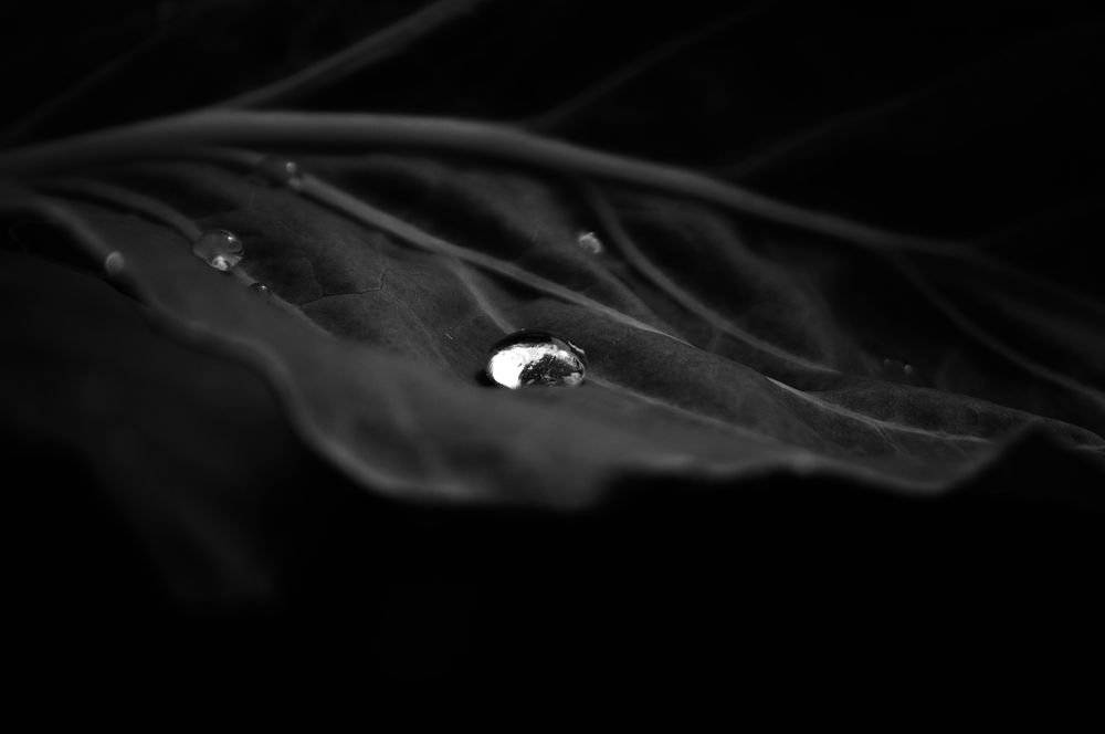 Photograph by Анна Кендик