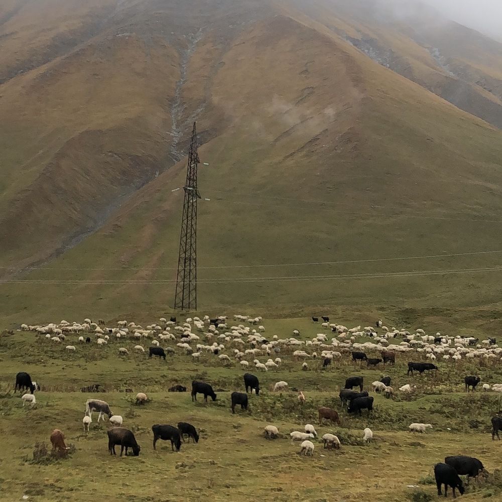 Photograph by Яна Цицилашвили