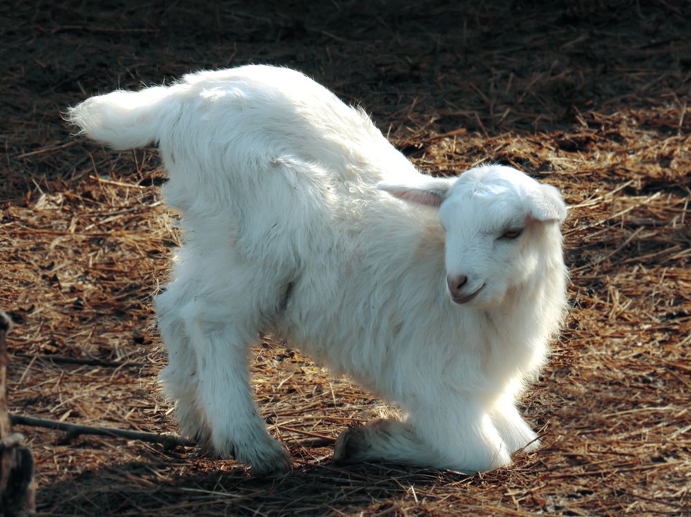 Photograph by Виктор Карпухин