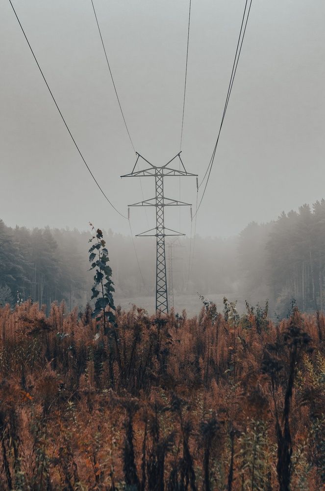 Фотография автора Геннадий Ломеко