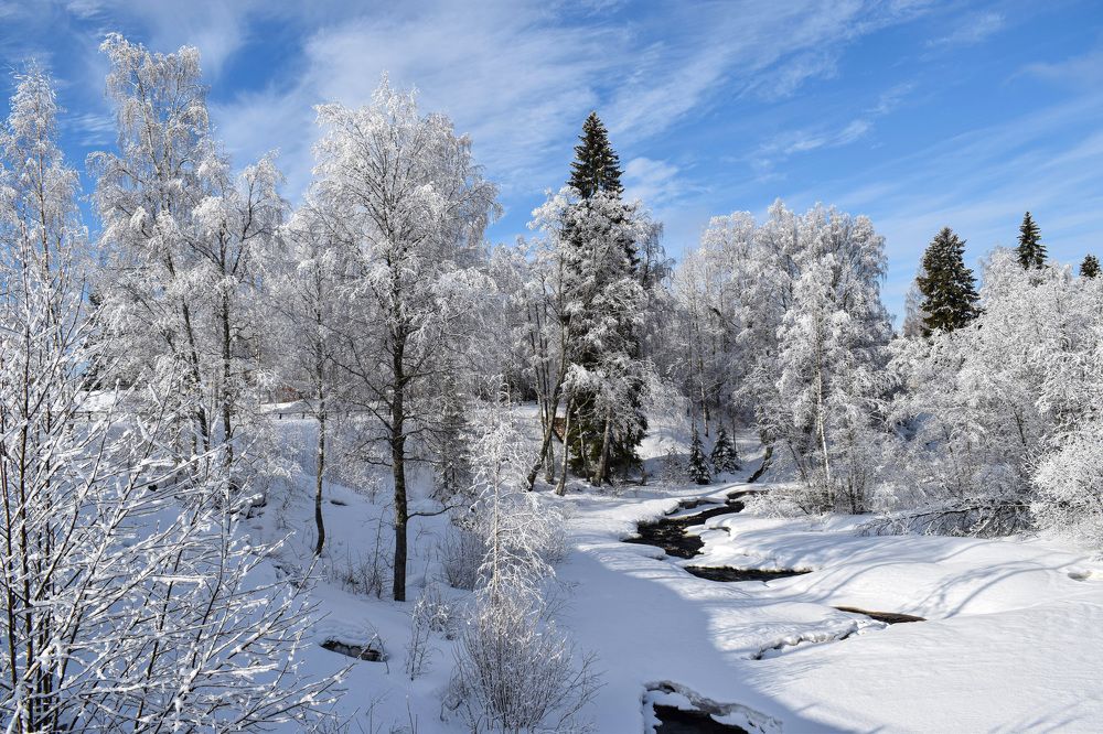 Photograph by Наталья Зверева