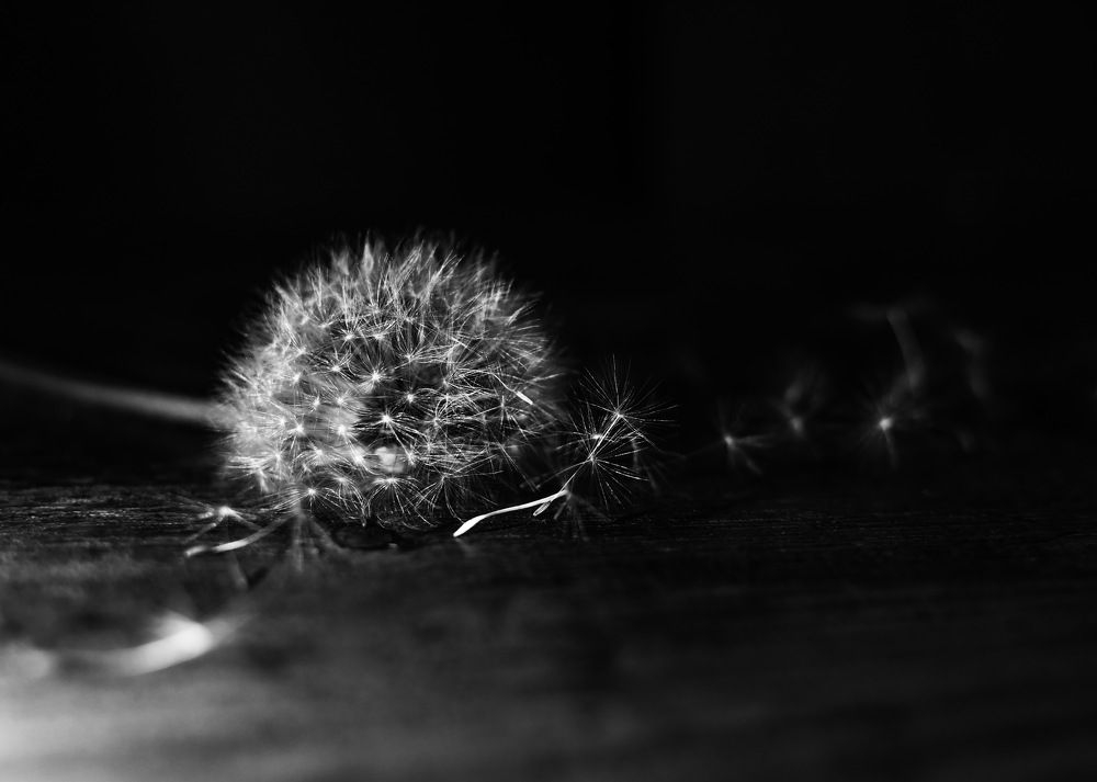 Photograph by Светлана Полушкина