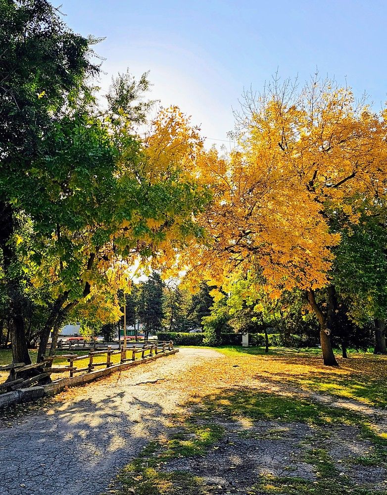 Photograph by Людмила Локтионова