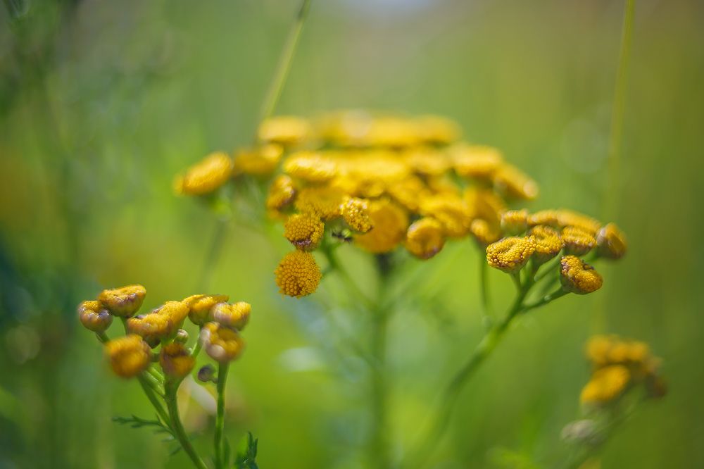 Photograph by Алексей Трифонов