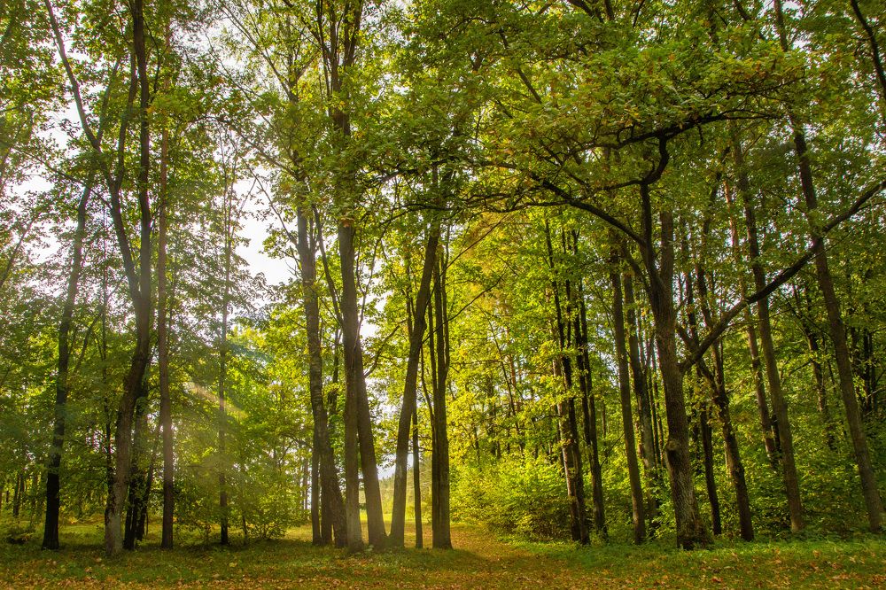 Photograph by Алексей Борисов