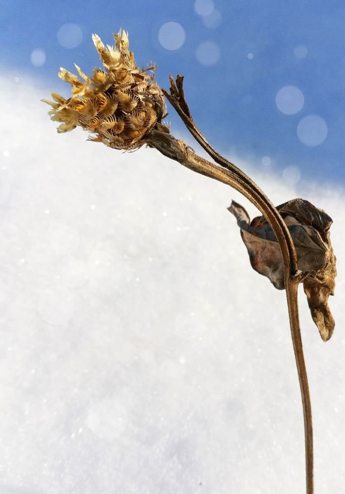 Photograph by Ирина Алпацкая