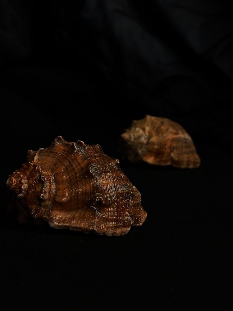 Photograph by Гузелья Иванова