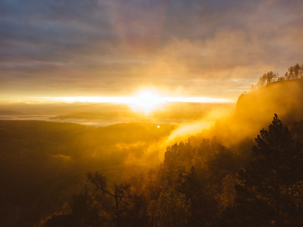 Золотые лучи утреннего солнца