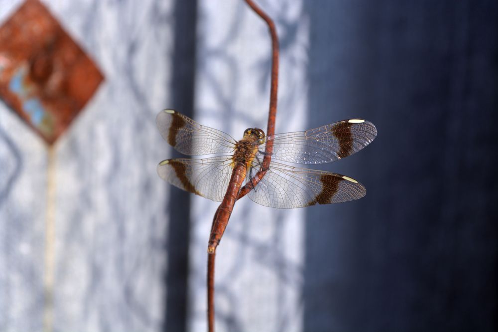 Photograph by Ксения Лебедева