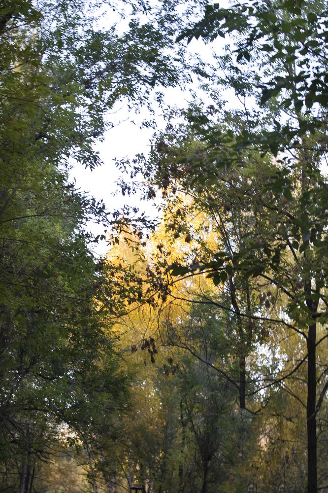 Photograph by Татьяна Шахматова