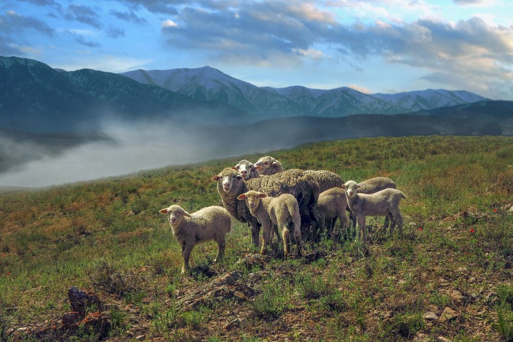 Photograph by Светлана Краюшкина