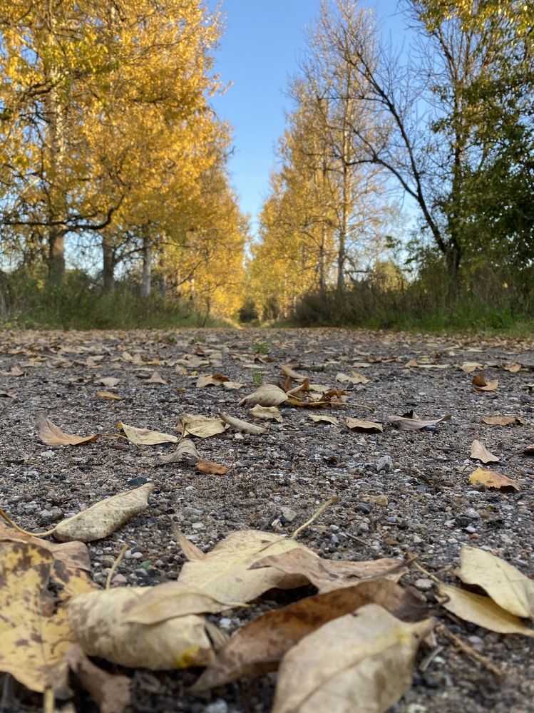 Photograph by Анастасия Моисеева