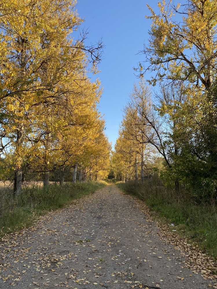 Photograph by Анастасия Моисеева