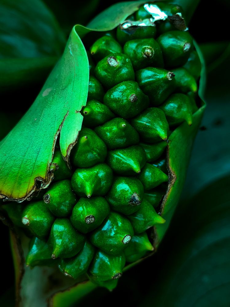 Photograph by Bragadeesh R