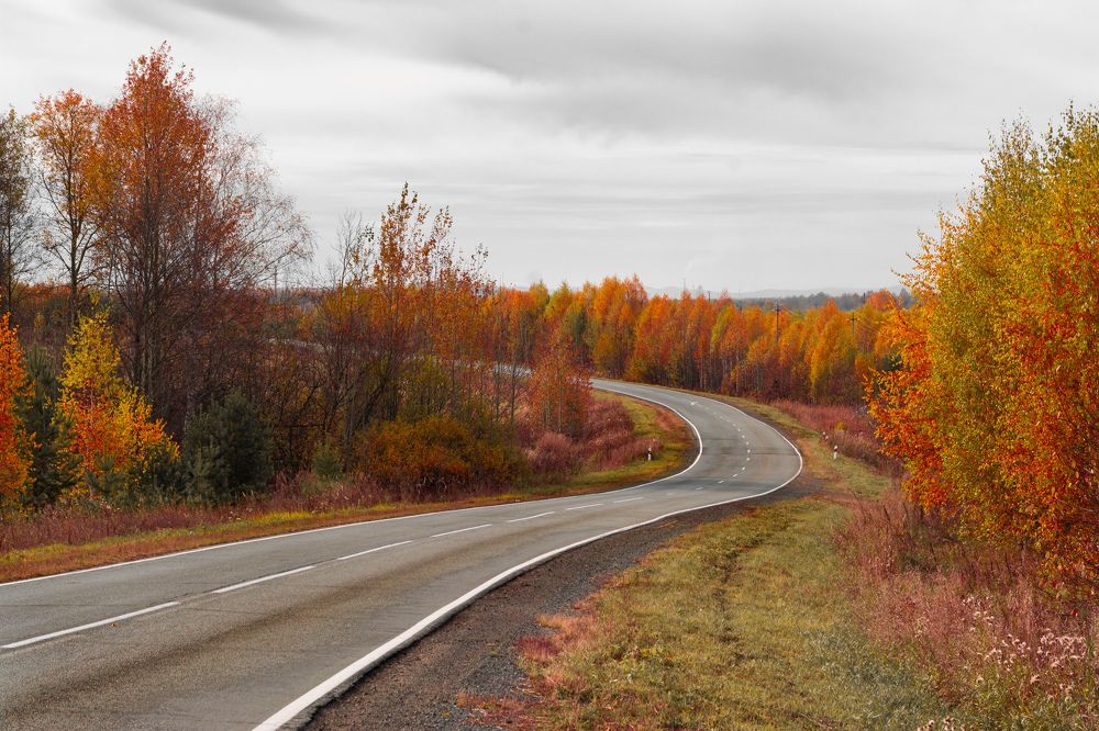 Photograph by Олег Бережных