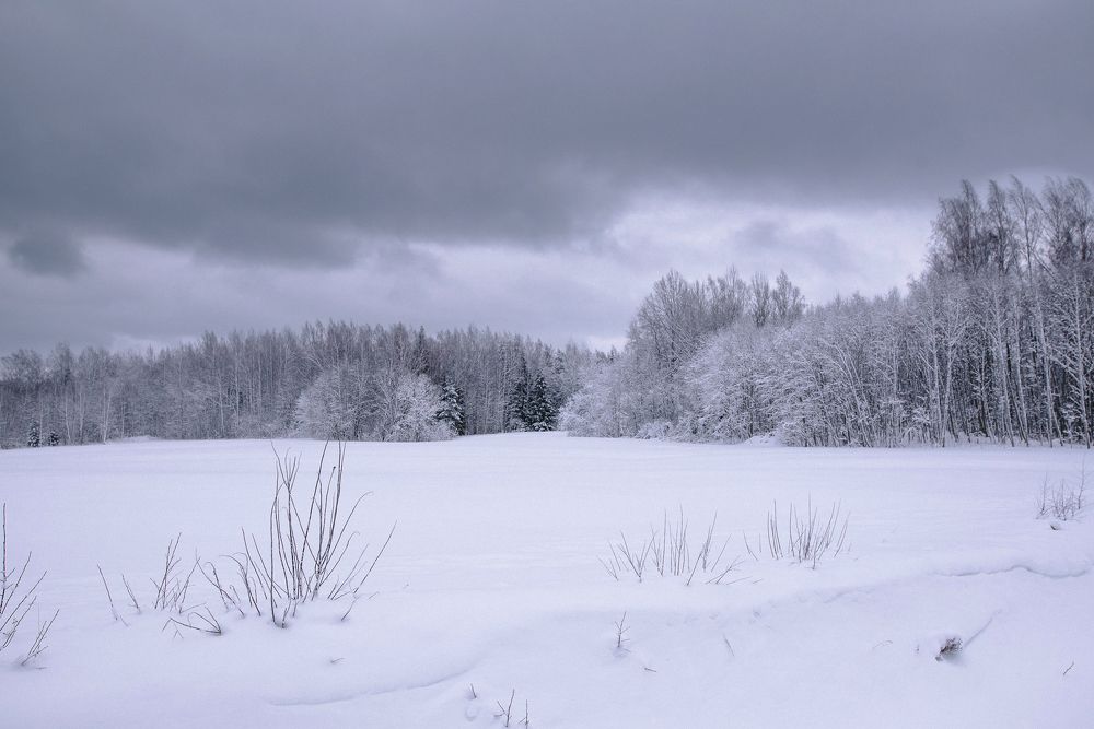Photograph by Сергеева Марина