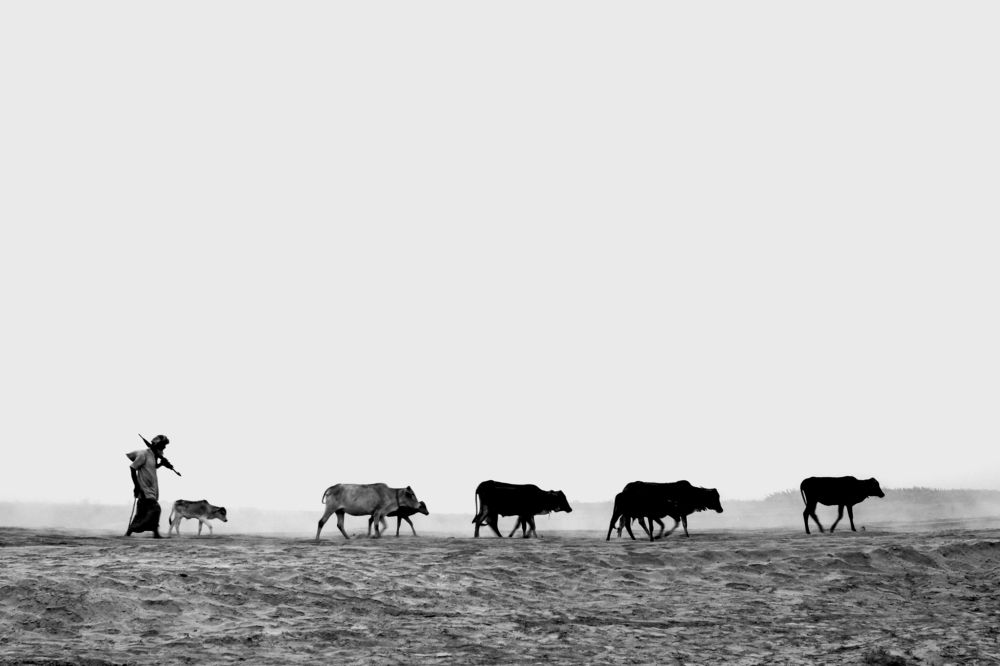 Photograph by MD. Imon