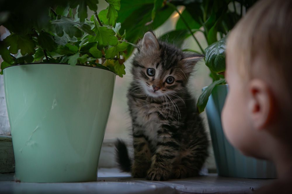 Photograph by Очева Наталья Александровна