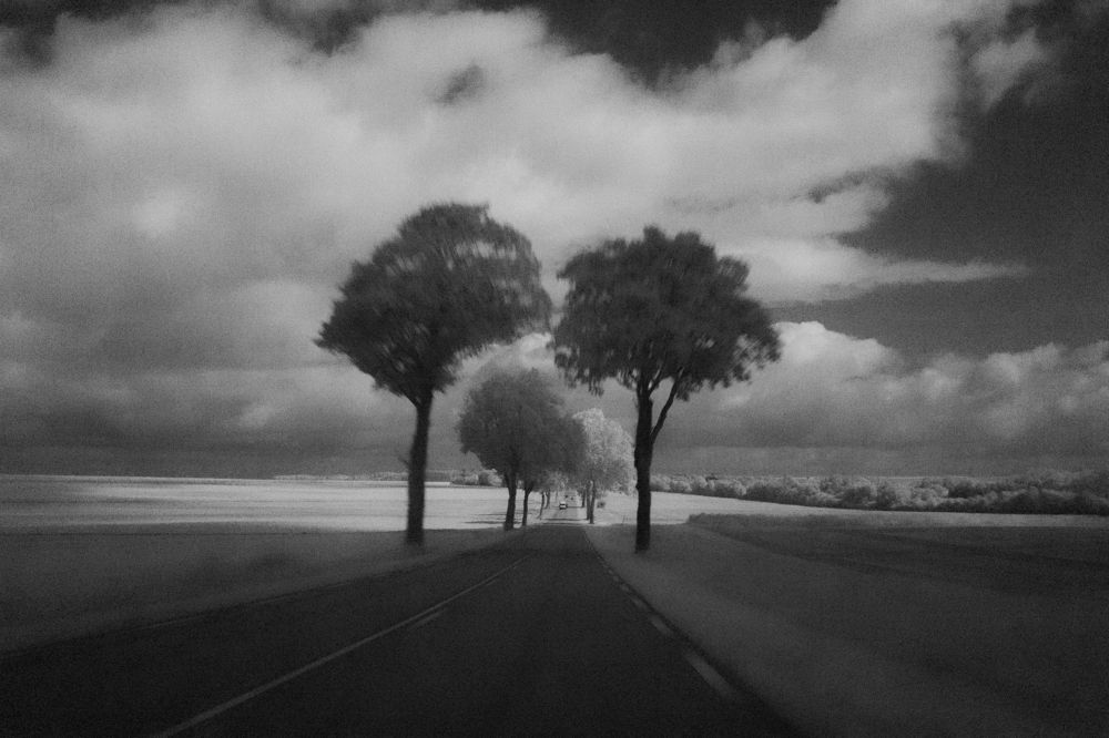 Photograph by NATACHA PERSYN