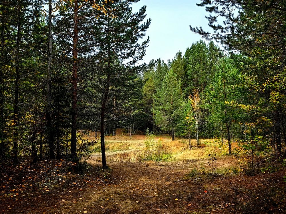 Photograph by Alexandr