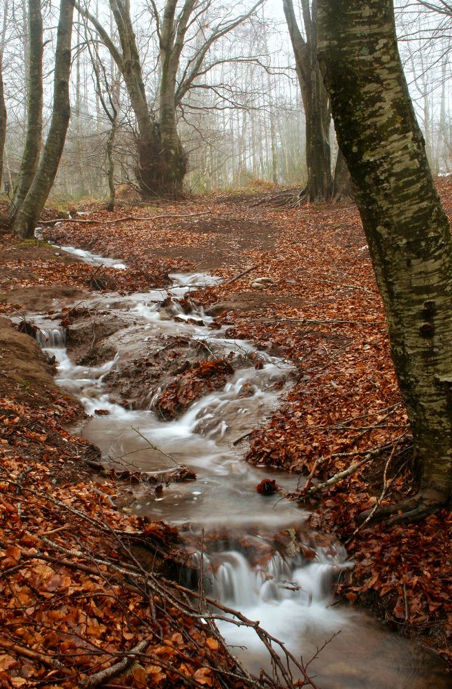Photograph by Claudio Bonaccorsi