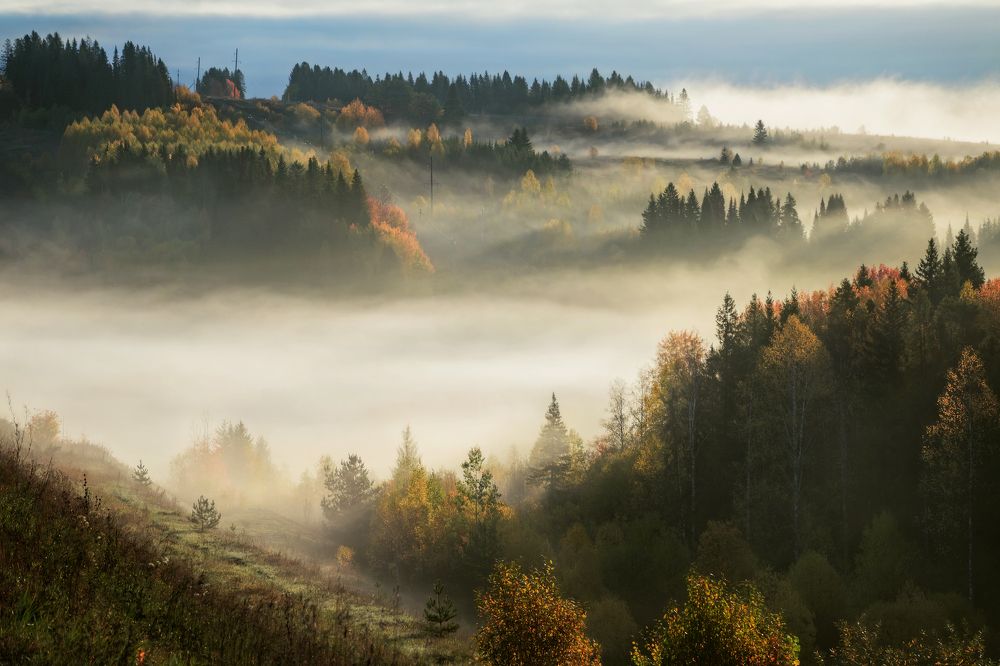 Photograph by Соколова Елена