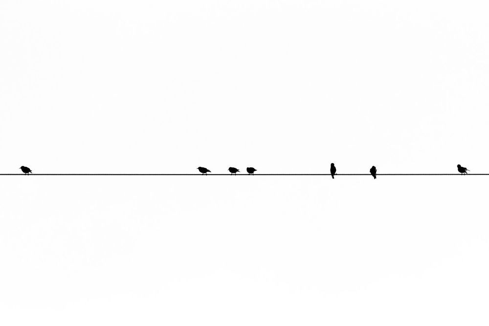 Photograph by Claudio Bonaccorsi