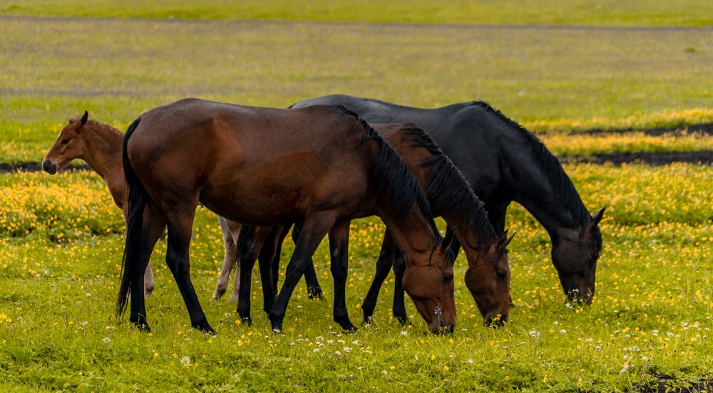 Photograph by Юрий Гаврилов