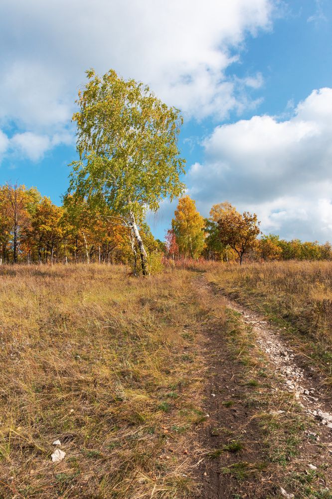 Photograph by Arkhipov