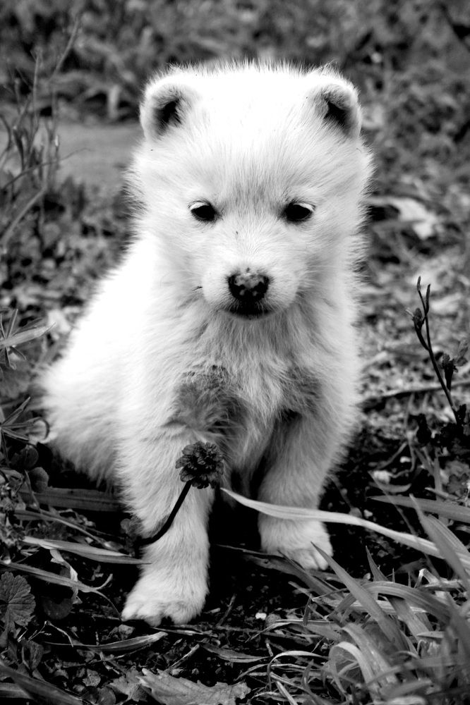 Photograph by Claudio Bonaccorsi