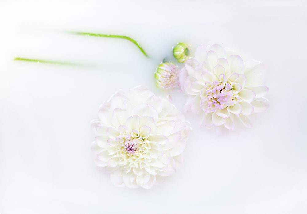 Photograph by Светлана Кавказская