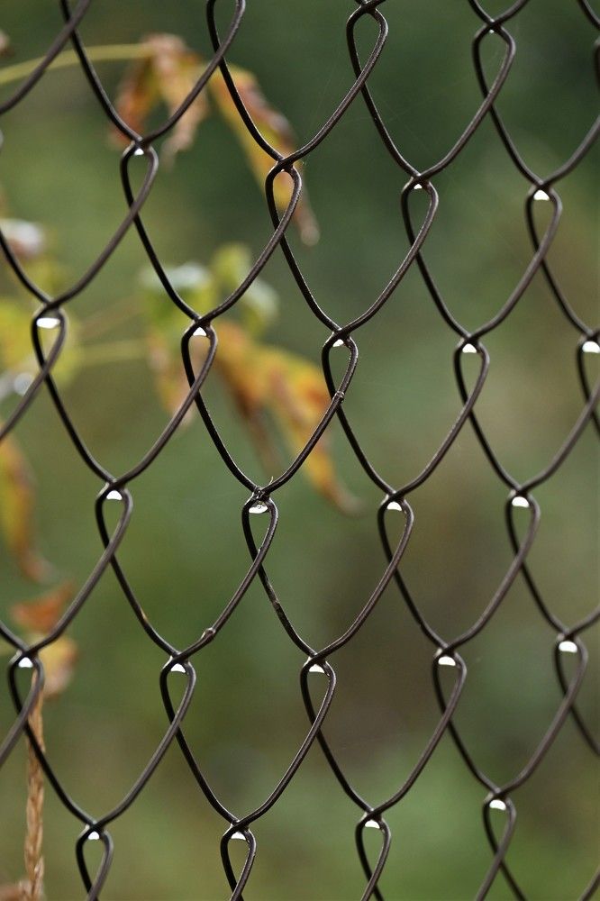 Фотография автора IRINA FILIPPOVA