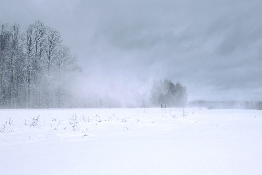 Photograph by Сергеева Марина