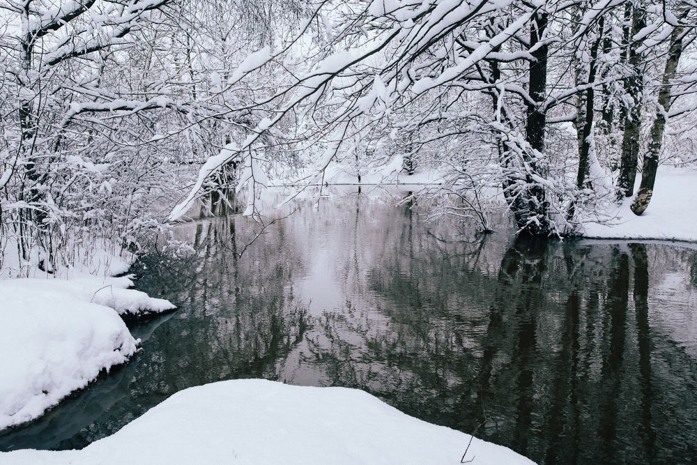 Photograph by Сергеева Марина